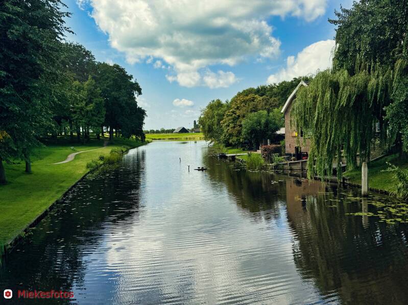 2025-08-10-elburg-14a-standard.jpg