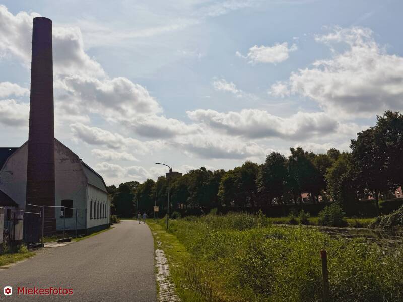 2025-08-10-elburg-16-standard.jpg