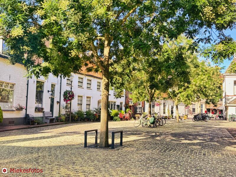 2025-08-10-hattem-14-standard.jpg