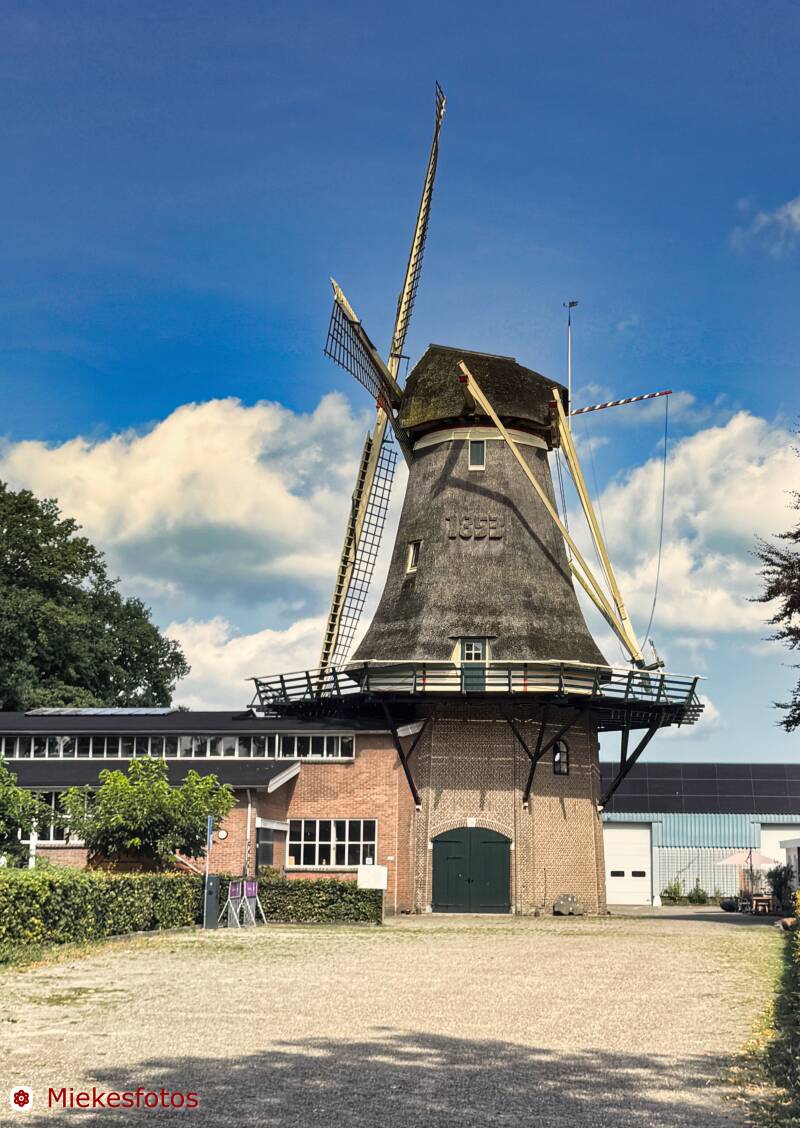 2025-08-10-oldebroek-2-standard.jpg