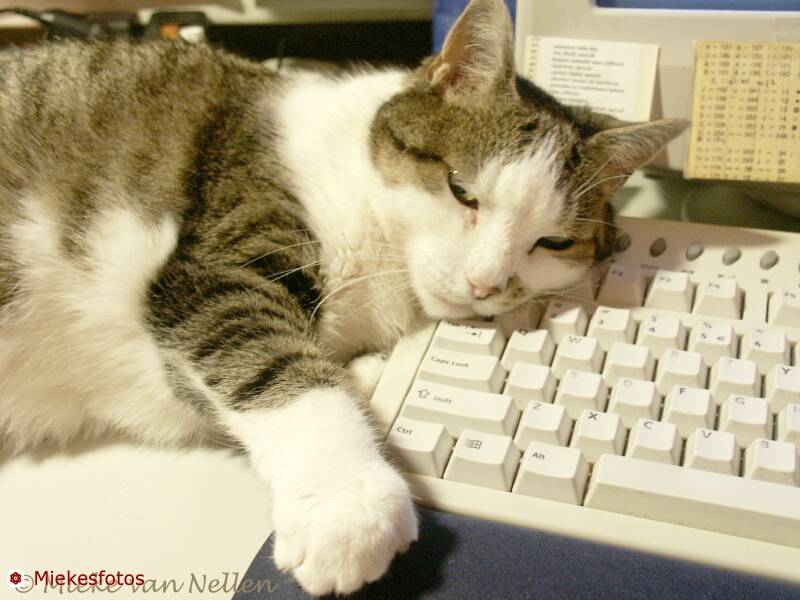 22-5-02-typefemmeke-standard.jpg
