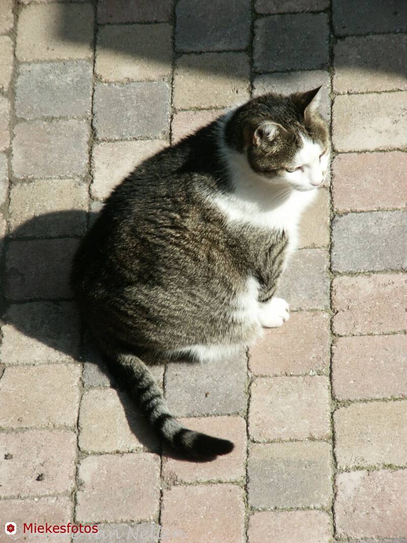 23-5-02-me-and-my-shadow-standard.jpg