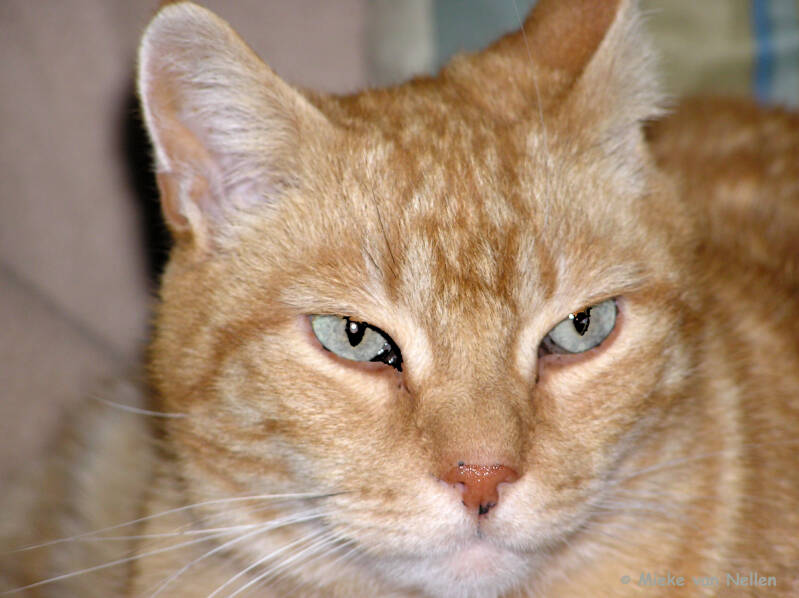 24-10-03-o-bandit-1-standard.jpg