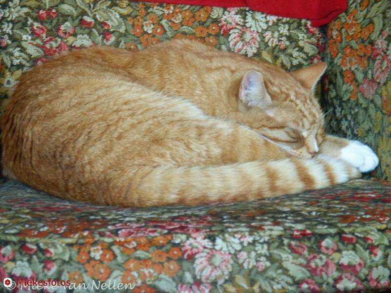 27-5-02-chablis-standard.jpg