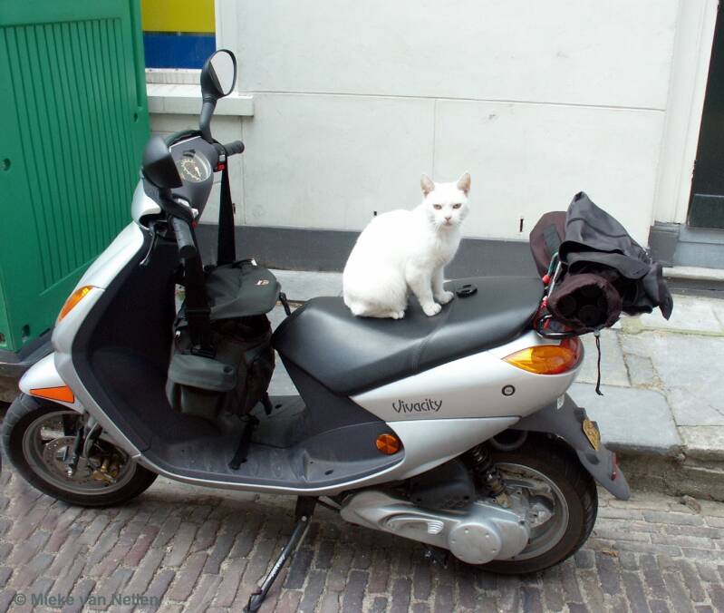 4-8-02-mijn-snorscooter-standard.jpg