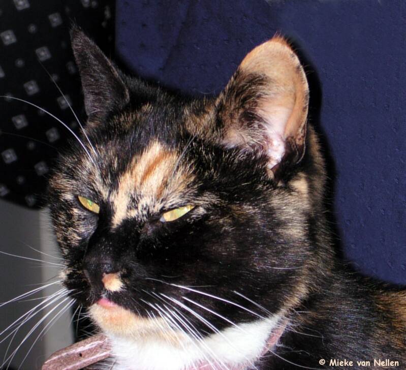 9-5-03-n-vicky-1-standard.jpg