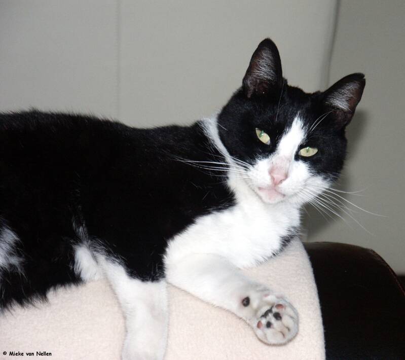 9-7-03-otto-1-standard.jpg