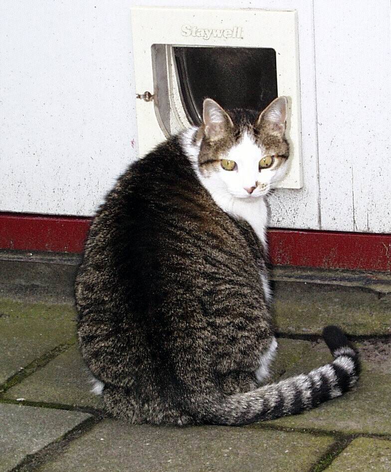 femke2-standard.jpg