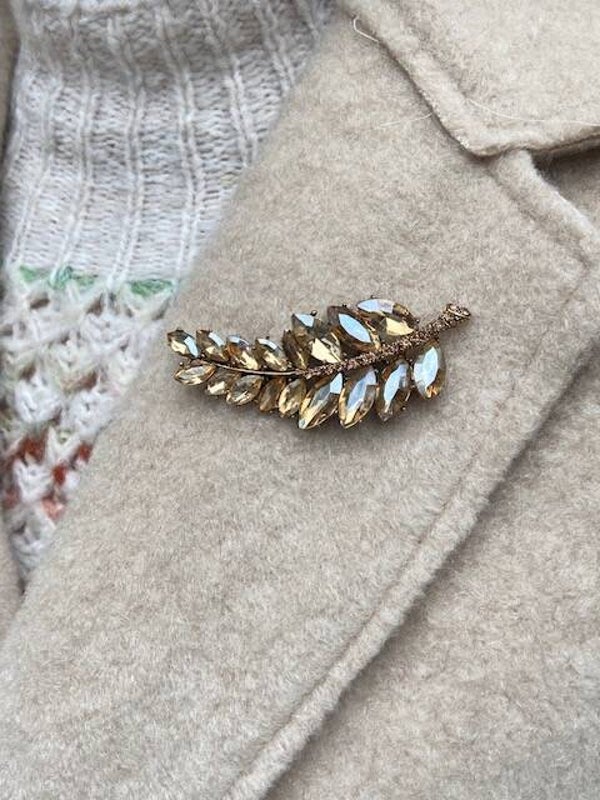 Unieke broches met subtiele glans