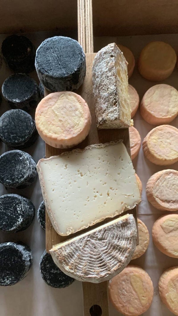 Oerboer Fynproeversseleksje