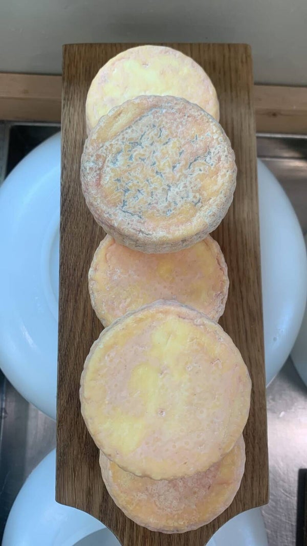 Sinnegloed fan de Geit