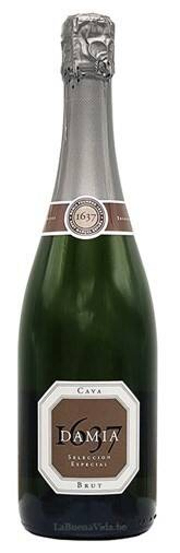 Cava Damia Brut Selección Especial '1637' - € 12,50