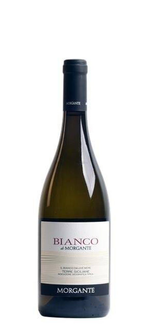 Bianco di Morgante 2024, IGT Terre Siciliane - € 15,00