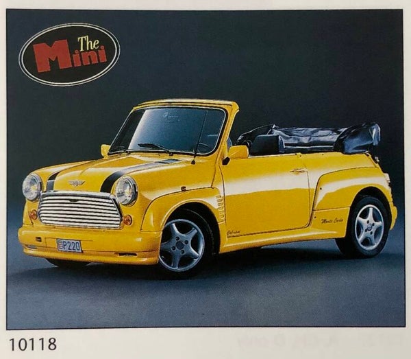 Verkerke Midi Poster Evert van Kuik	The yellow mini 40 cm x 50 cm Poster Weihnachtsgeschenk vintage NOS Verkerke