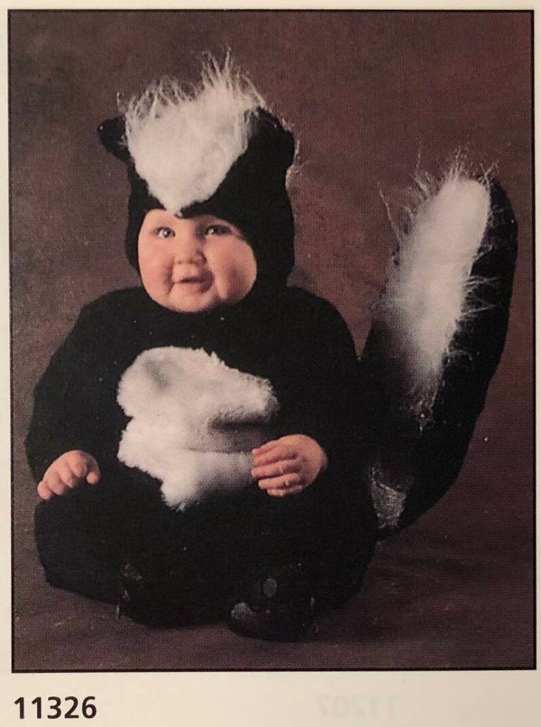 Verkerke Midi Poster Tom Arma	Skunk baby Stinktier Baby mit Kostüm  40 cm x 50 cm Poster Weihnachtsgeschenk vintage NOS