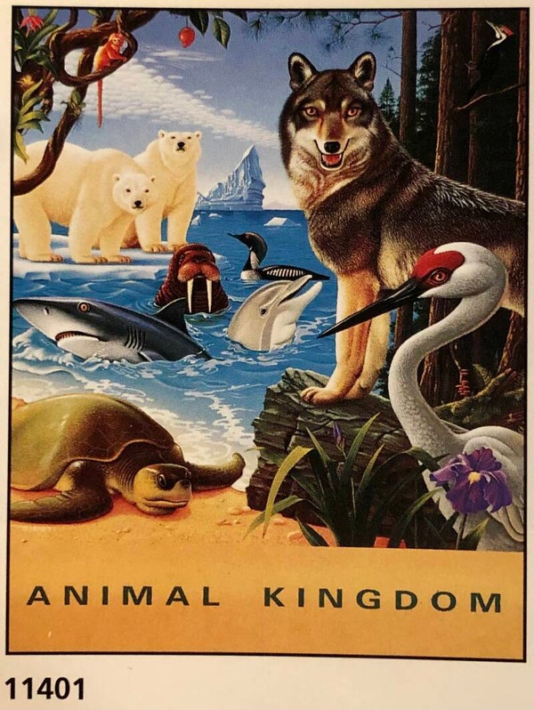 Verkerke Midi Poster Robert Giusti	Animal Kingdom  40 cm x 50 cm Poster Weihnachtsgeschenk vintage Tiere Natur