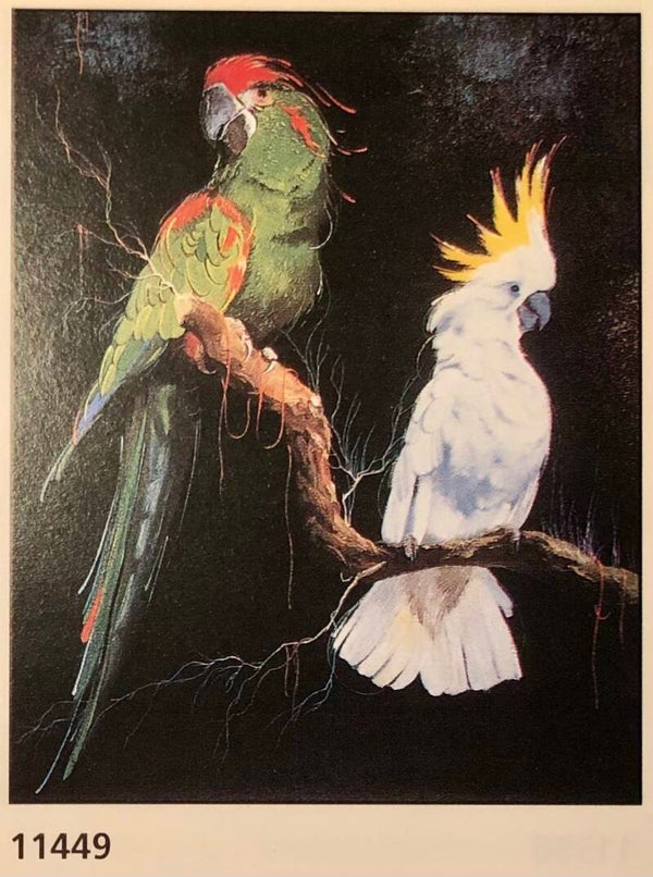 Verkerke Midi Poster Luc Genot	Perroquets   40 cm x 50 cm Poster Weihnachtsgeschenk vintage Papagei