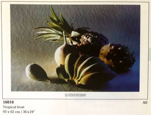 90er Jahre Poster Siegbert Kercher Tropical frost 62 cm x 93 cm