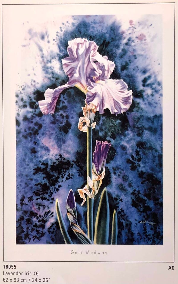 90er Jahre Kunstdruck Geri Medway	Lavender Iris 93 cm x 62 cm