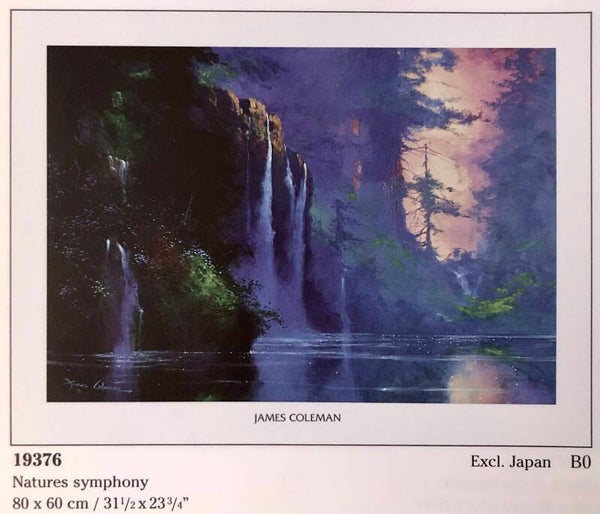 Verkerke James Coleman Studio	Nature`s symphony 80 x 60 cm Poster 90er Jahre Art