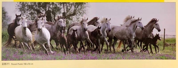 Verkerke Sabine Stuewer	Lucitano horses 158 cm x 53 cm Penant Poster Panorama  Poster 90er Jahre Art