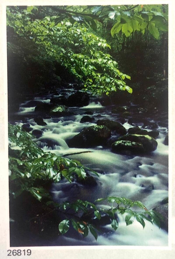 90er Jahre Poster Clyde H.Smith-Schapowalow	The river Maxiposter Maxi 62 cm x 93 cm