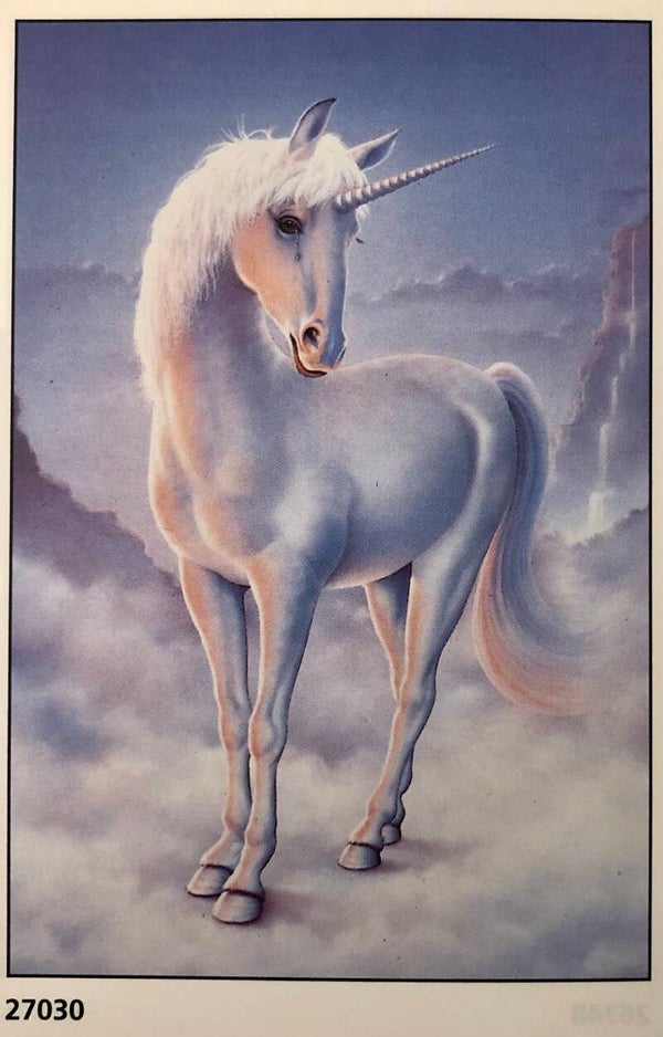 90er Jahre Poster Illustration artwork	Unicorn Einhorn Pferd Maxi 62 cm x 93 cm Verkerke