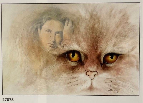 90er Jahre Poster Jean Claude Leroyer	Cat with brown eyes Katze Maxi 62 cm x 93 cm Verkerke