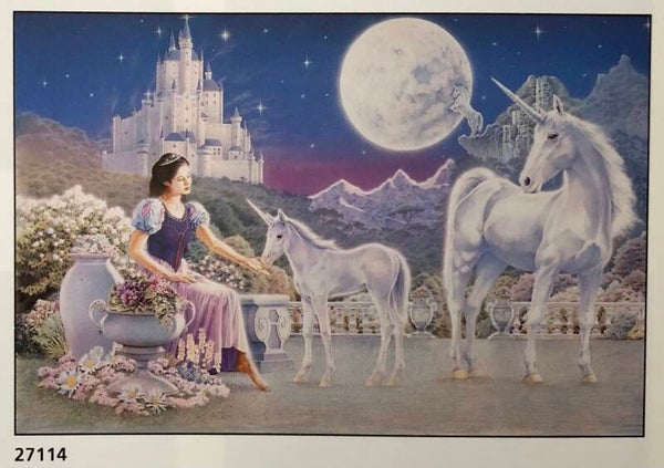 90er Jahre Poster Art Resource	Unicorn Princess Einhorn Maxi 62 cm x 93 cm Verkerke