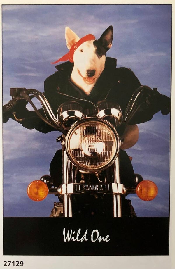 90er Jahre Landmark Stock exchange	Wild one Maxiposter Maxi 62 cm x 93 cm