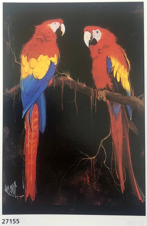 90er Jahre Luc Genot Papageien Papagei Perroquets Maxiposter Maxi 62 cm x 93 cm