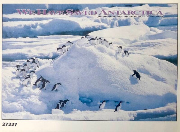 90er Jahre Bruno Zehnder	Adelie Penguins Frolick around an Ice Zone in the Antarctica Maxiposter Maxi 62 cm x 93 cm Future