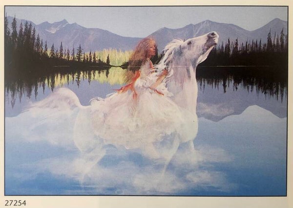 90er Jahre Joy Caros Riding on the wind Maxiposter Maxi 62 cm x 93 cm
