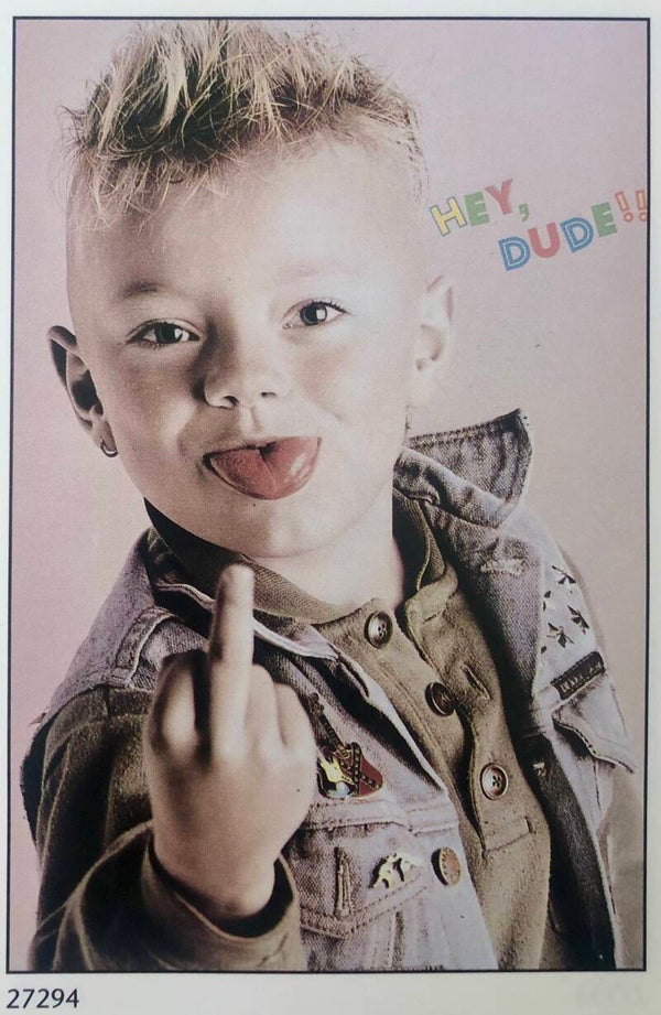 90er Jahre Poster Rein Van Koppenhagen	Hey Dude Stinkfinger Stinkefinger Maxi 62 cm x 93 cm Verkerke