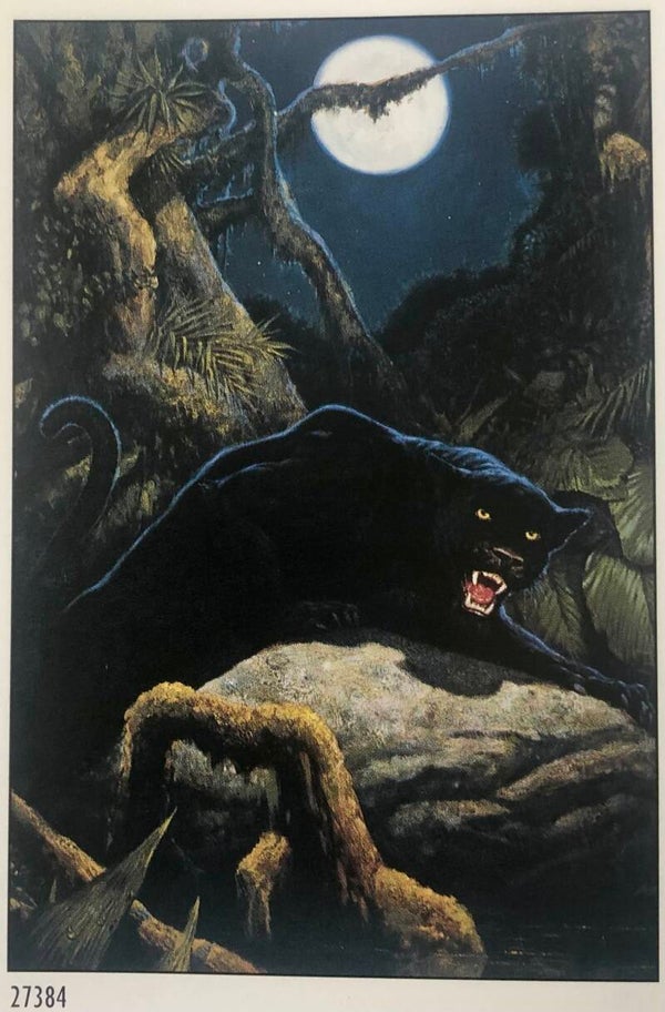 90er Jahre Poster Black Panther Maxiposter Maxi 62 cm x 93 cm Petar Meseldžija