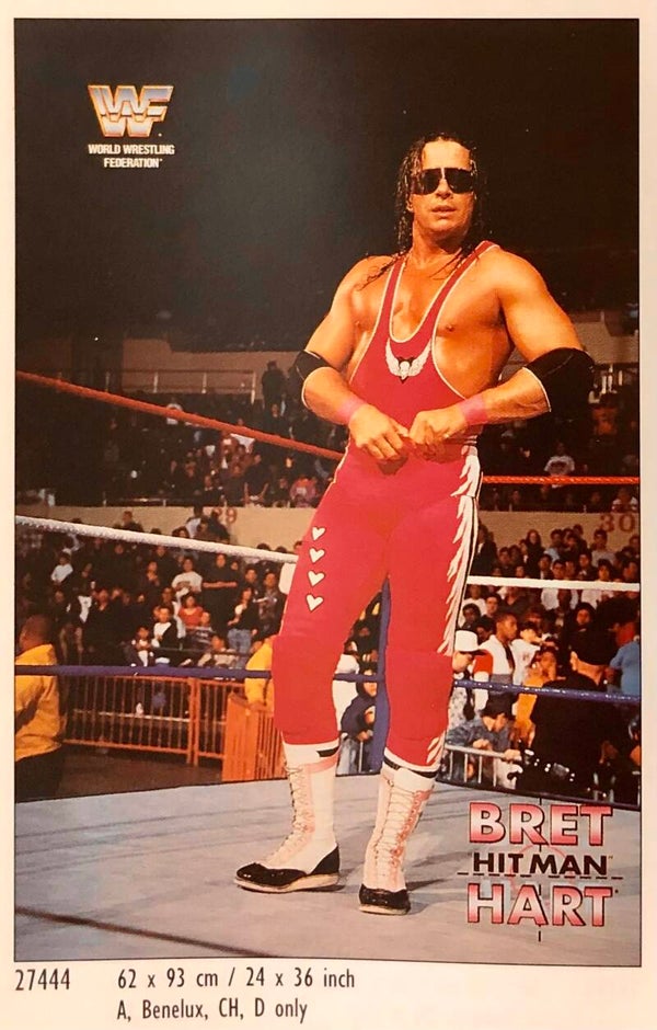 90er Jahre Poster Brad Hitman Heart Wrestling  Maxi 62 cm x 93 cm  B-Ware: leicht gedrückt WWF WWE