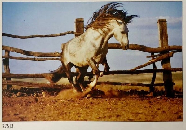 90er Jahre Gabrielle Boiselle	Gray stallion Pferd  Maxiposter Maxi 62 cm x 93 cm