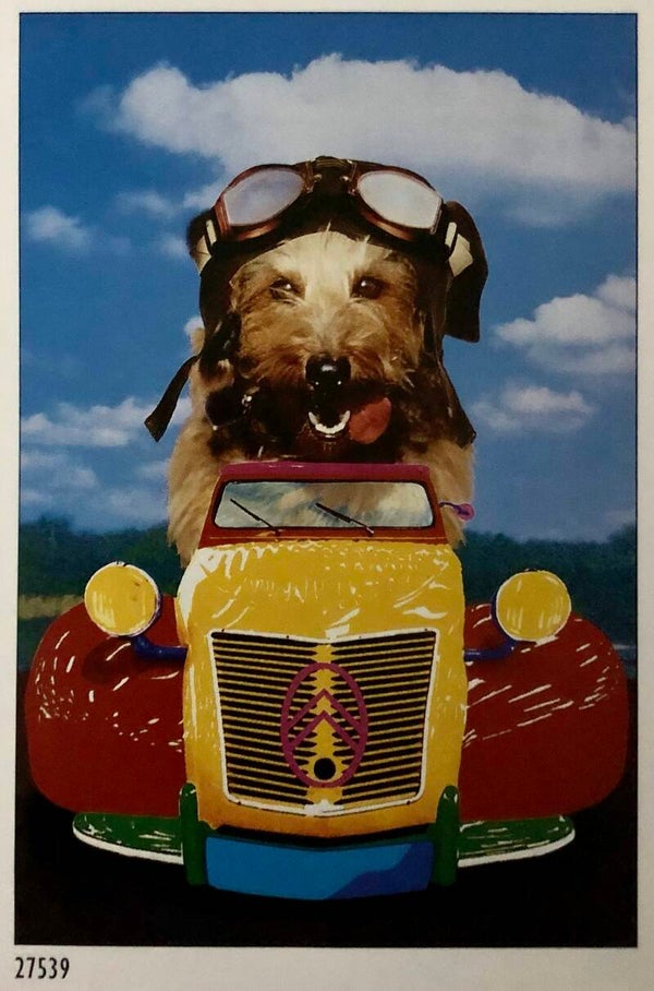 90er Jahre Poster 	Hund Maxi 62 cm x 93 cm Verkerke