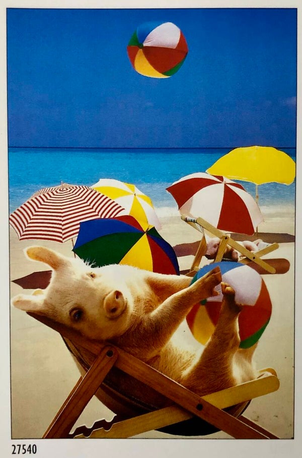 90er Jahre Sabine Stuewer	ZEFA Stockmarket Schweinchen Schwein  Maxiposter Maxi 62 cm x 93 cm B-Ware
