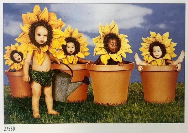 90er Jahre Poster Sam Maxwell	Sunflower Kids Maxiposter Maxi 62 cm x 93 cm Baby Sonnenblumen