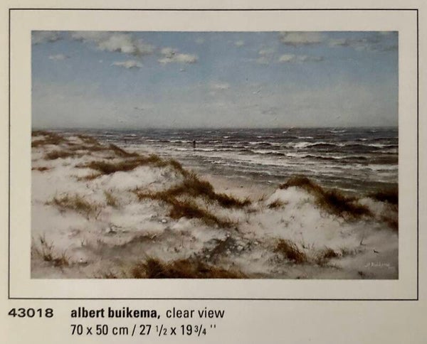 90er Jahre Kunstdruck Poster Albert Buikema	Clear View Studio Edition 70 cm x 50 cm Kunstdruck