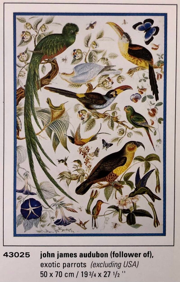 90er Jahre Poster Follower of John-James Audobon	Exotic parrots 70 cm x 50 cm Kunstdruck