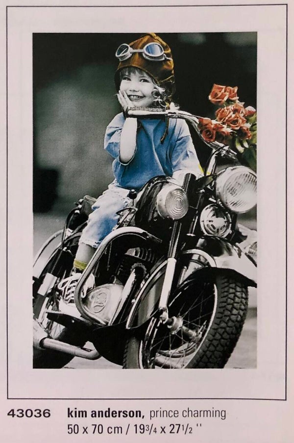 90er Jahre Poster Kim Anderson	Prince charming 70 cm x 50 cm Kunstdruck