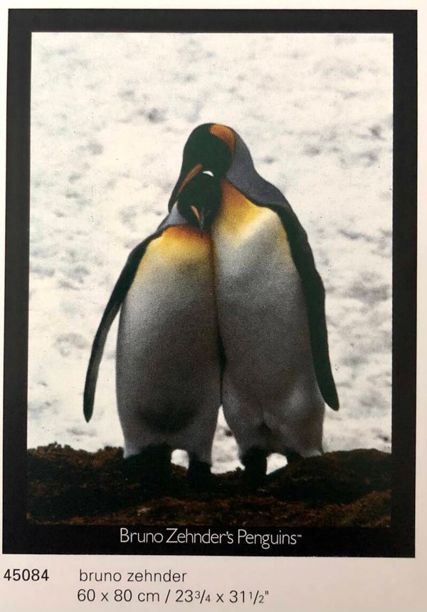 Verkerke Bruno Zender	Photography: Penguins 80 x 60 cm Poster 90er Jahre Art