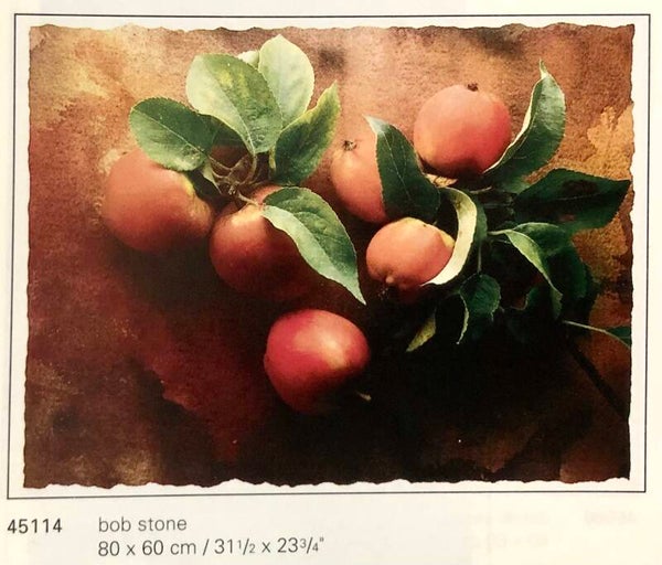 Verkerke Bob Stone & Michael Woodward	Apples from the garden at spring house 80 x 60 cm Poster 90er Jahre Art