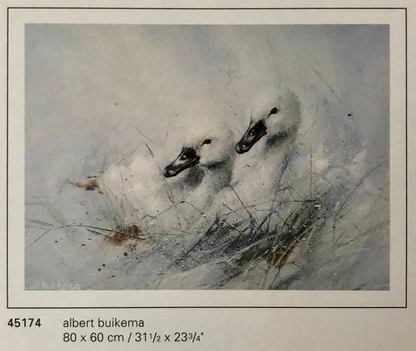 Verkerke A. Buikema	Painting 80 x 60 cm Poster 90er Jahre Art