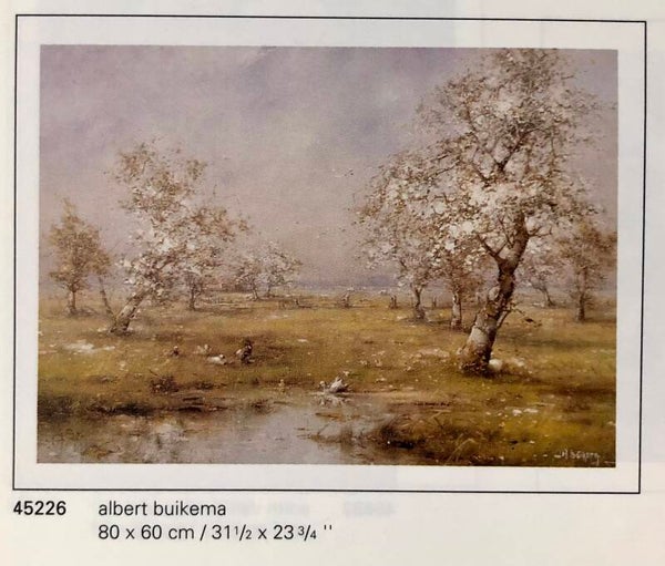 Verkerke Albert Buikema	Sping blossom 80 x 60 cm Poster 90er Jahre Art B-Ware