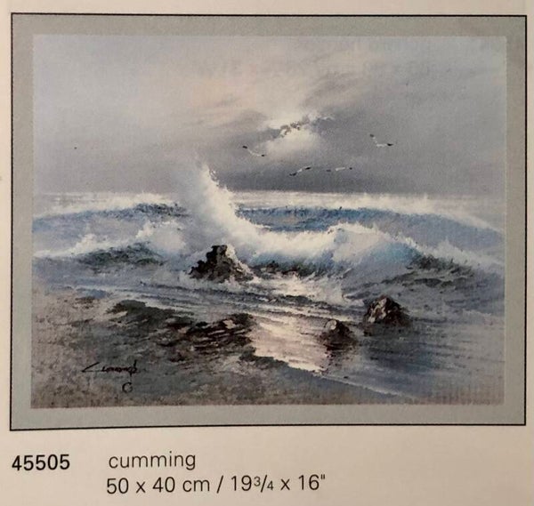 Verkerke Cumming	Savage surf 50 x 40 cm Poster 90er Jahre Art