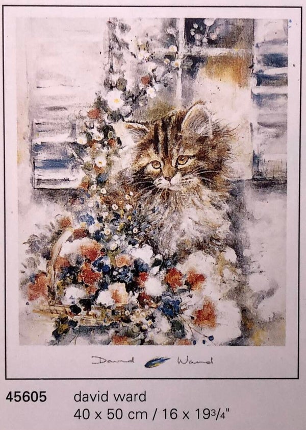 Verkerke Midi Poster David Ward	Kitten 40 cm x 50 cm Poster Weihnachtsgeschenk vintage