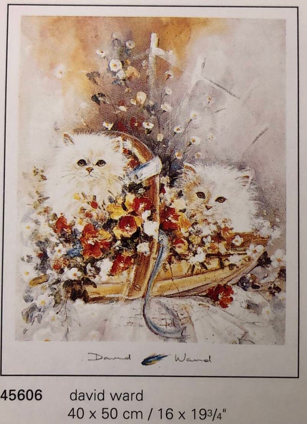 Verkerke David Ward	Two kittens 50 x 40 cm Poster 90er Jahre Art